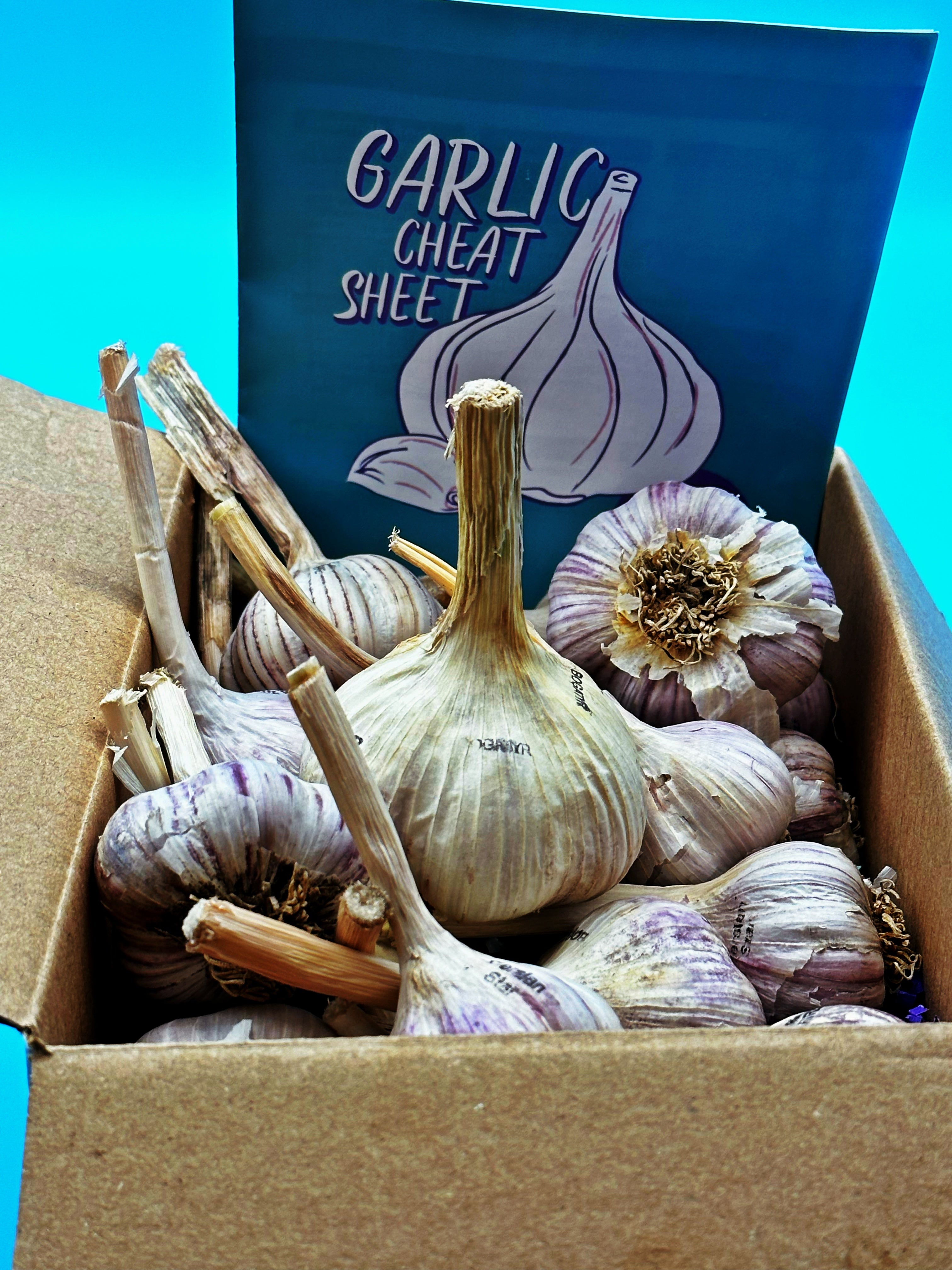 Garlic Variety Pack