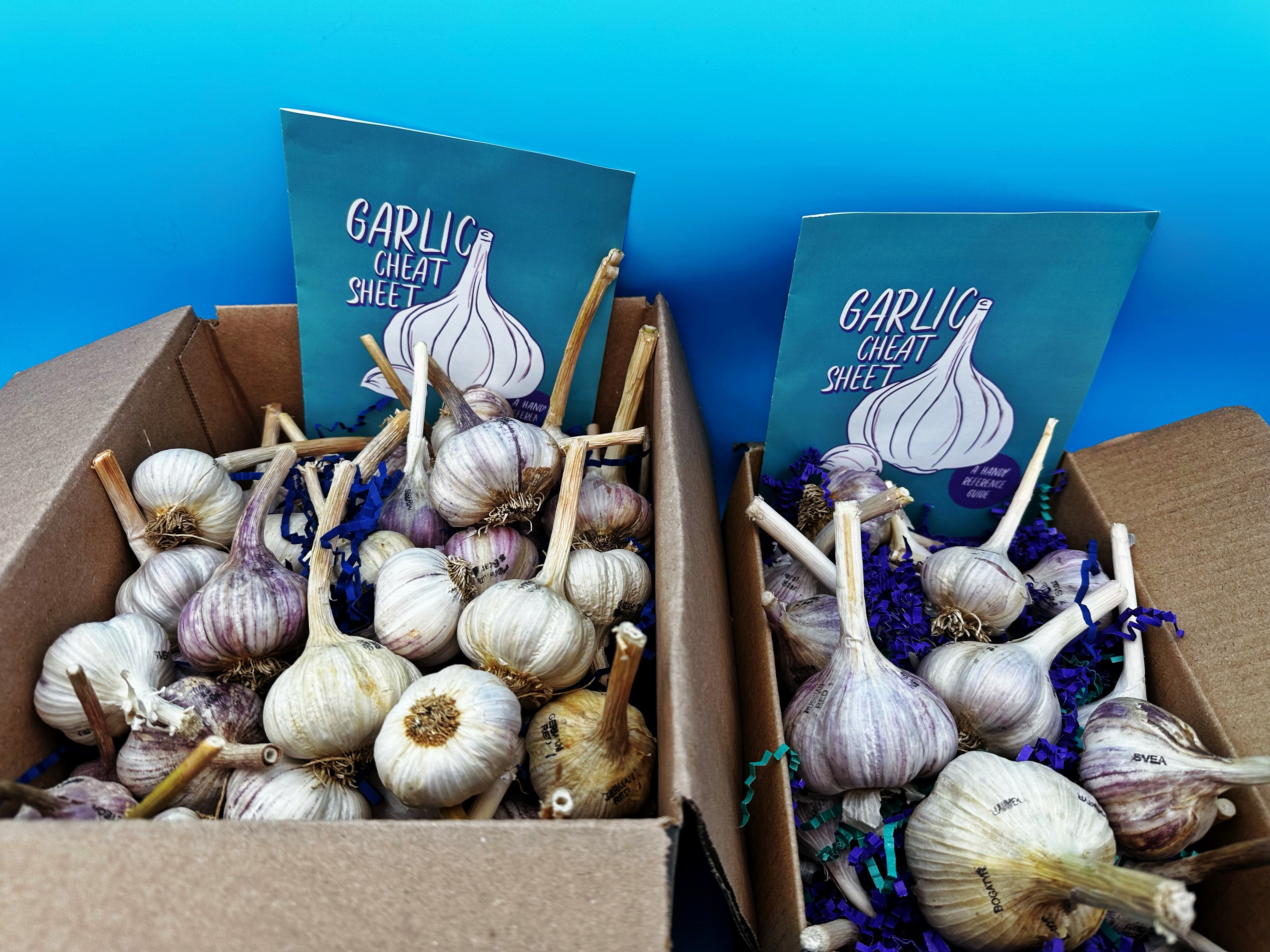 Garlic Variety Pack